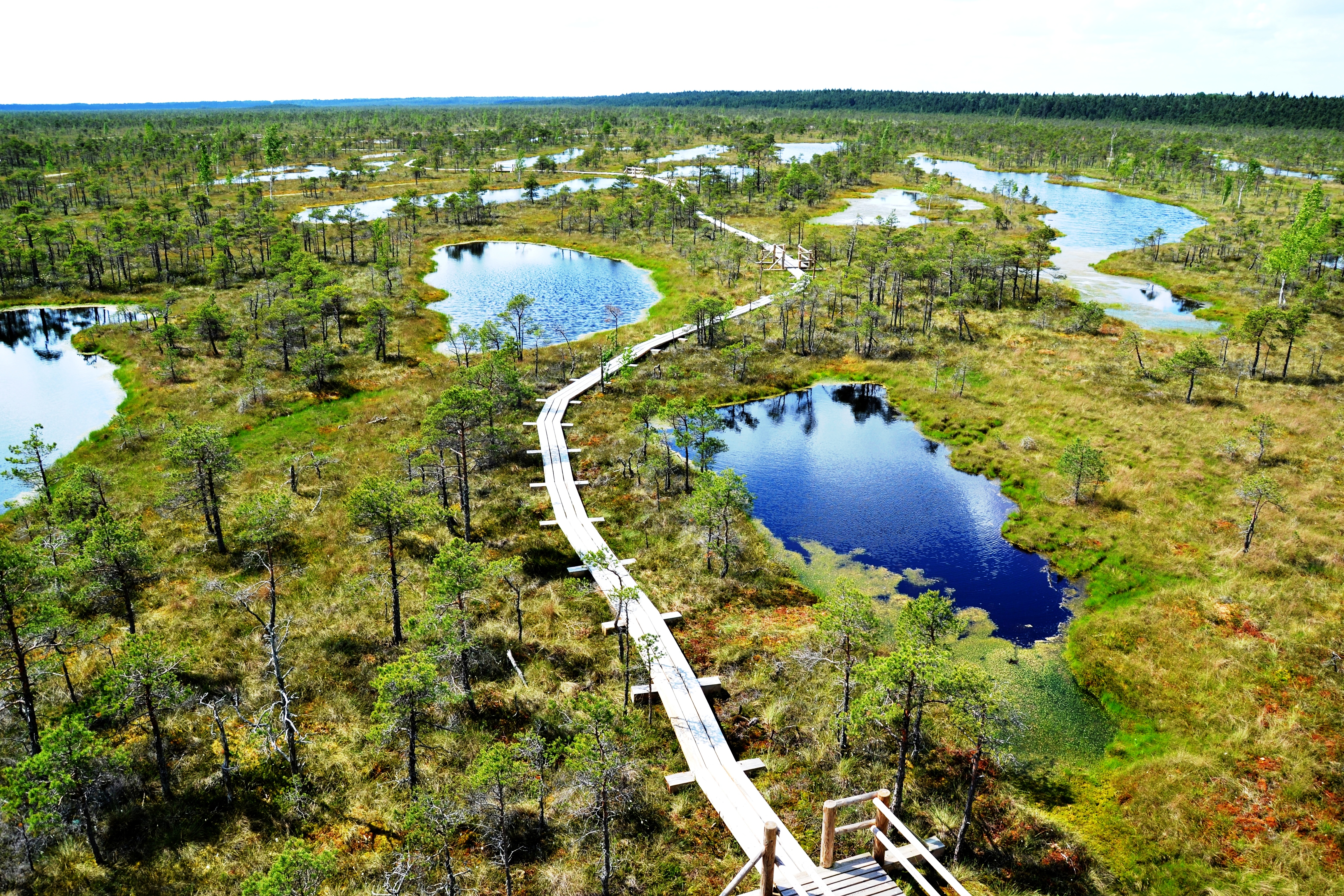 Парк Лахемаа Эстония
